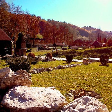 Casa Olteanu Pension Моечу-де-Жос Экстерьер фото