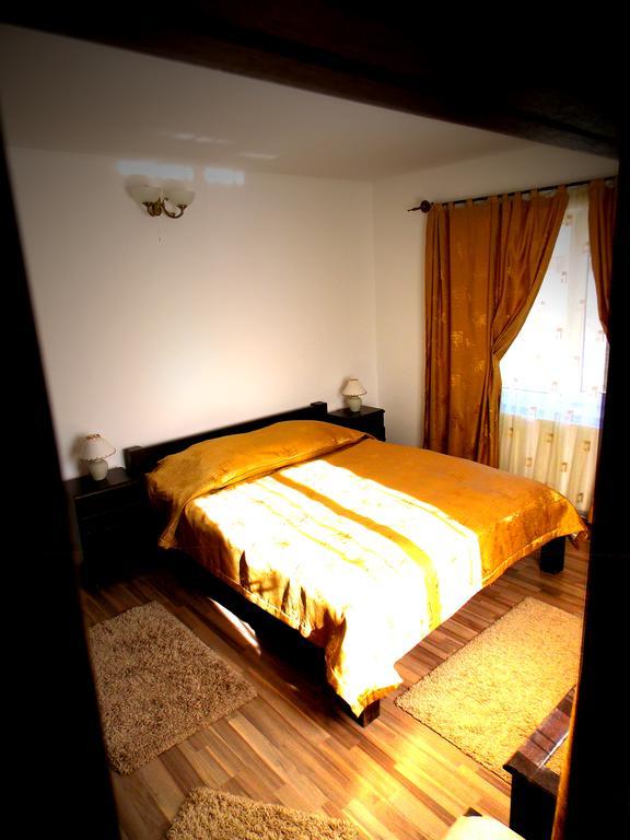 Casa Olteanu Pension Моечу-де-Жос Номер фото