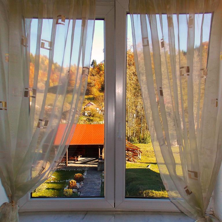 Casa Olteanu Pension Моечу-де-Жос Экстерьер фото