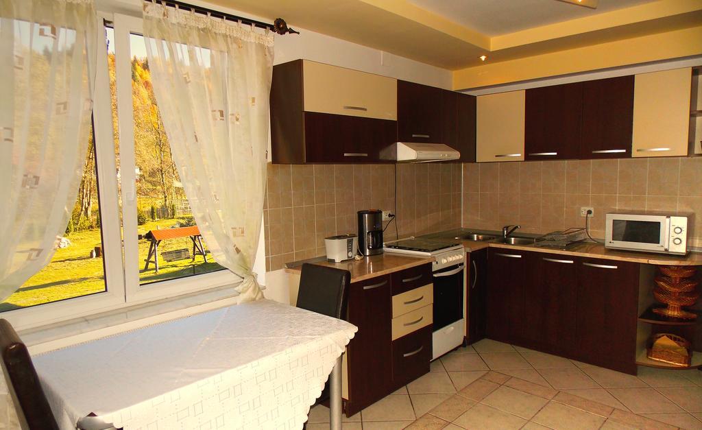 Casa Olteanu Pension Моечу-де-Жос Экстерьер фото