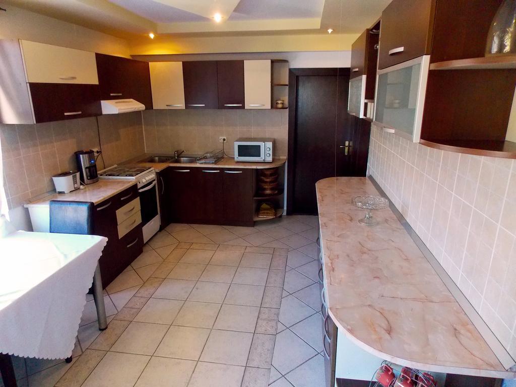 Casa Olteanu Pension Моечу-де-Жос Экстерьер фото