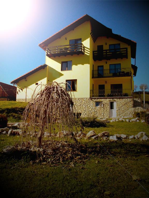 Casa Olteanu Pension Моечу-де-Жос Экстерьер фото