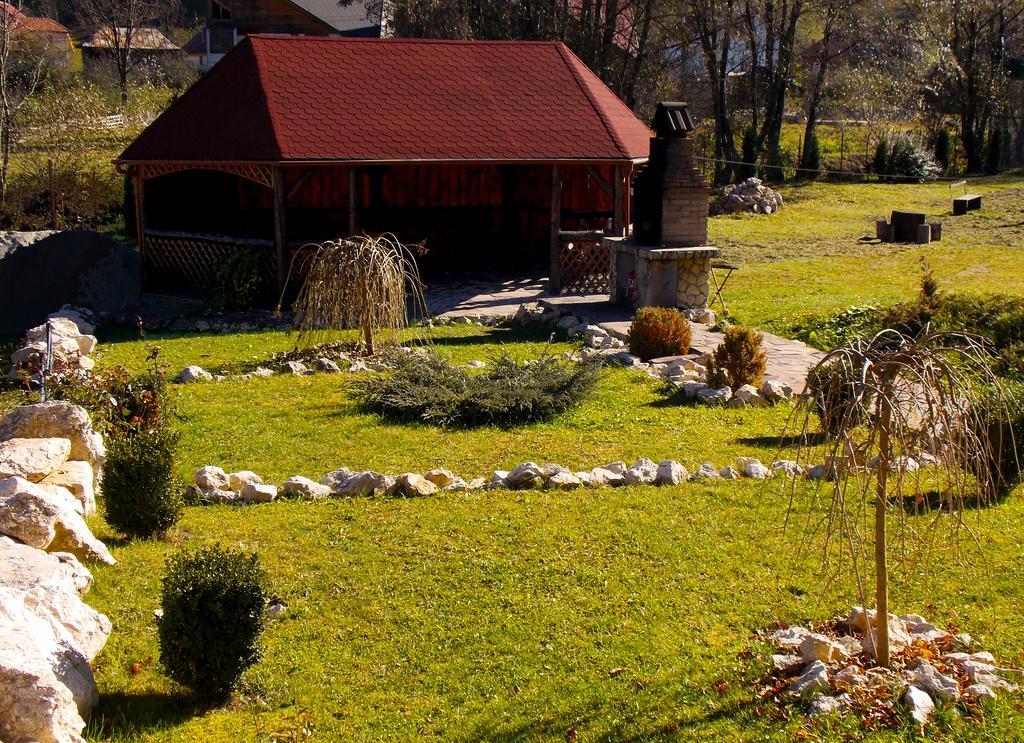 Casa Olteanu Pension Моечу-де-Жос Экстерьер фото