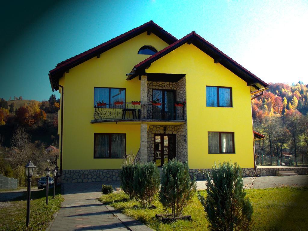 Casa Olteanu Pension Моечу-де-Жос Экстерьер фото