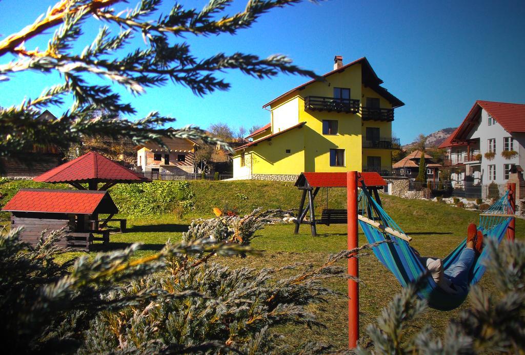 Casa Olteanu Pension Моечу-де-Жос Экстерьер фото