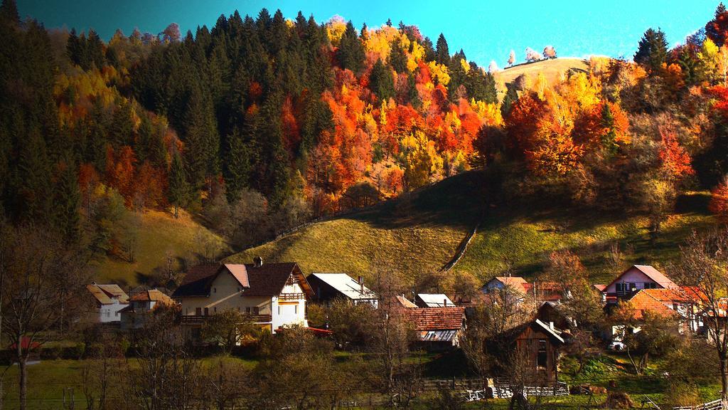 Casa Olteanu Pension Моечу-де-Жос Экстерьер фото